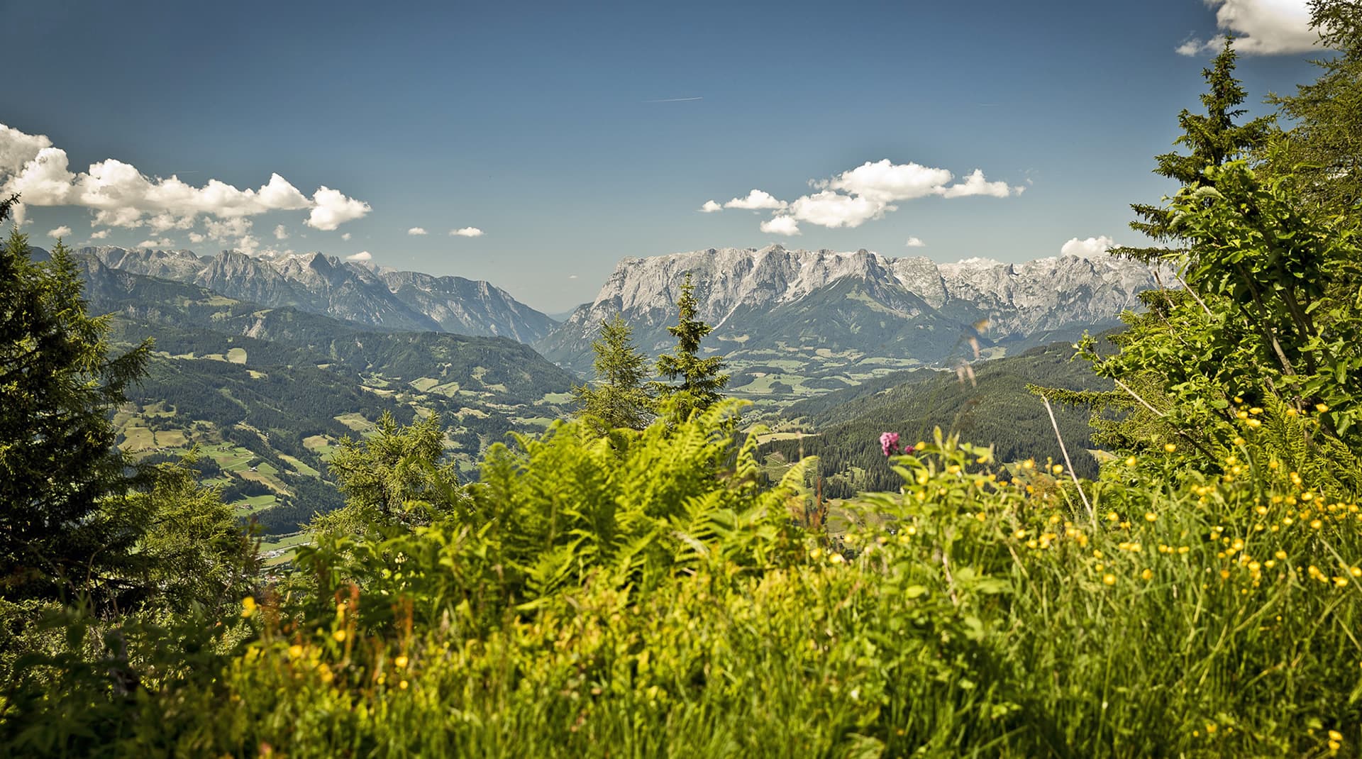 Sommerurlaub in Lerchs Urlaubswelt in St. Johann in Salzburg - im Bild das Wandergebiet Gernkogel im Alpendorf mitten in Salzburger Land in Österreich