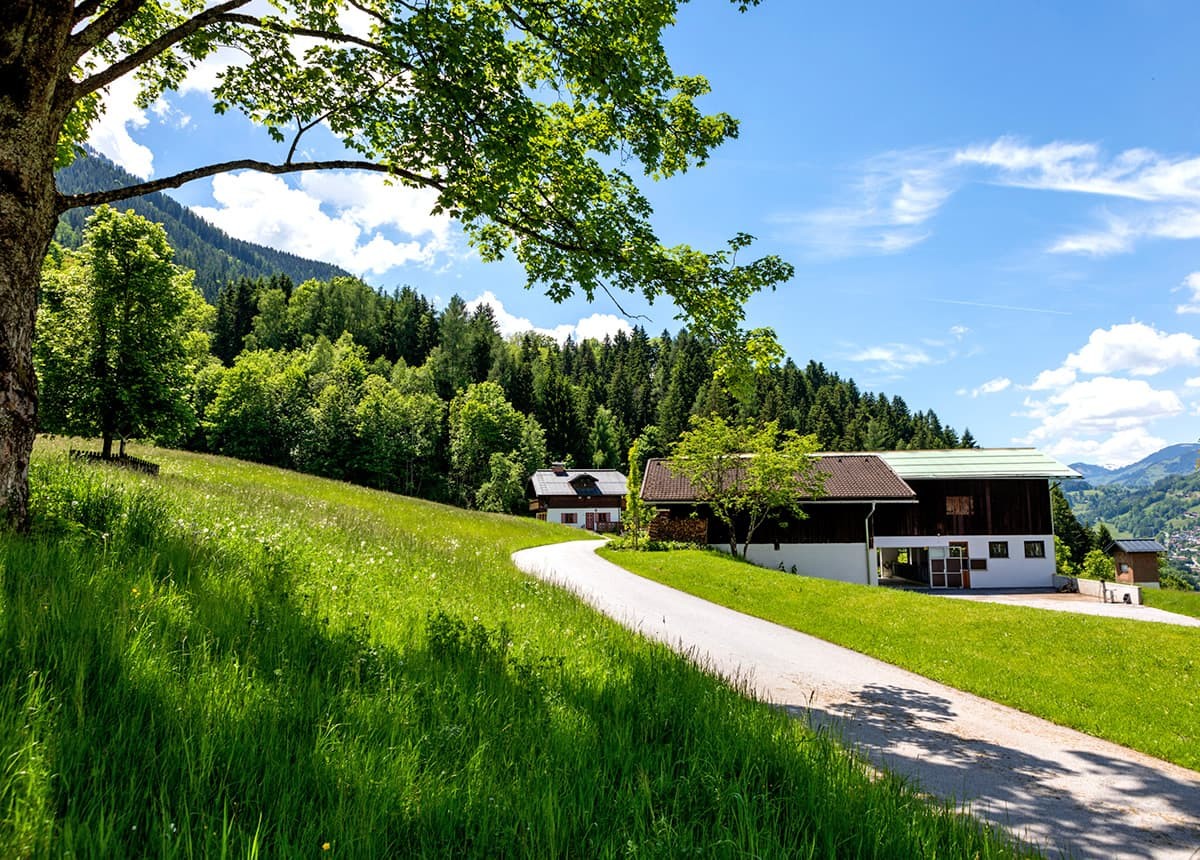 Ferienhaus Hinterweidinggut