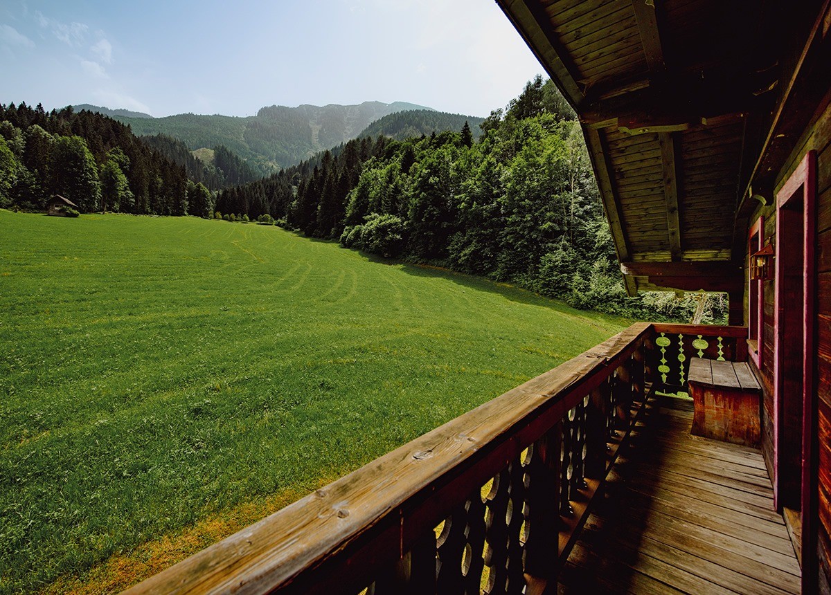 Blick vom Balkon auf die Wiese
