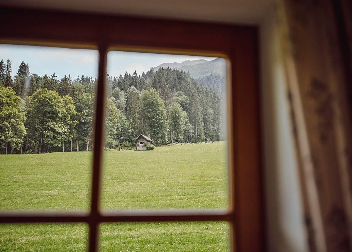 Blick durch das Fenster auf die Wiese