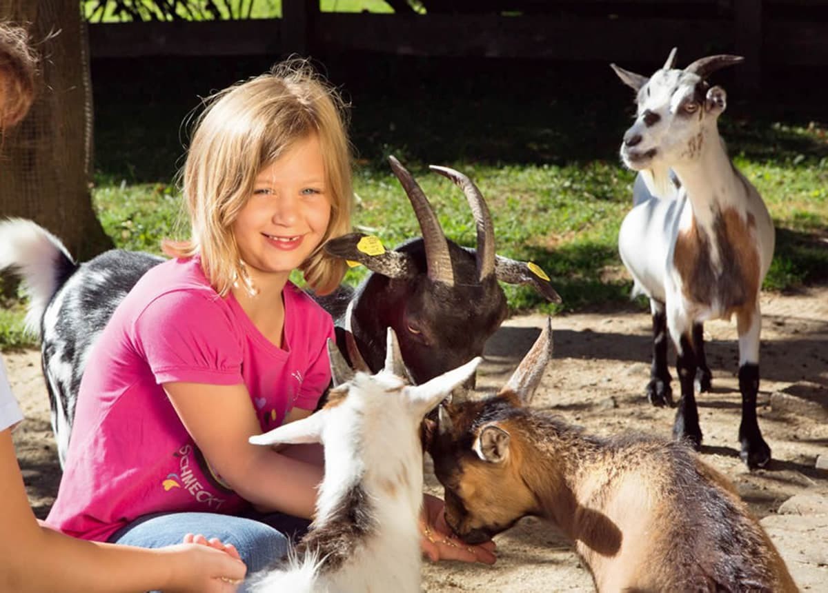 Mädchen und viele Bauernhoftiere