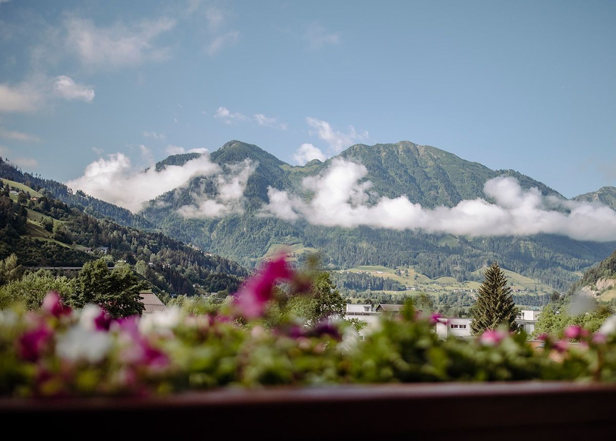 Blick auf die Natur vom Balkon