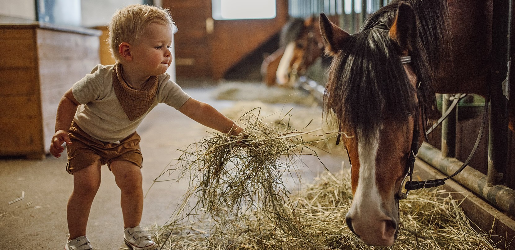 Kinder, Pferd und Streichelzoo