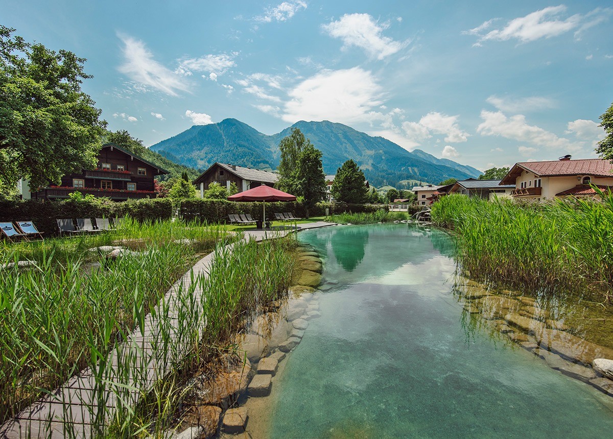 Romantischer Schilfgürtel