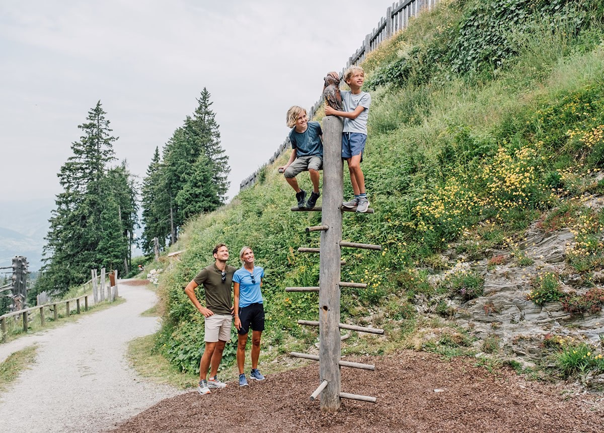 Kinder am Kletterbaum